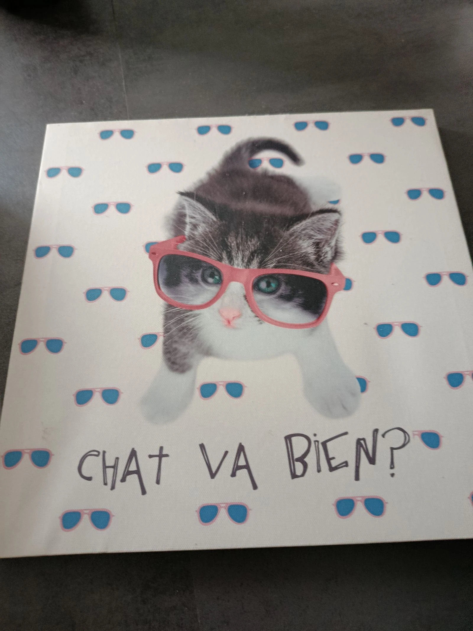 Cadre chat